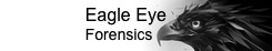 EagleEye Logo